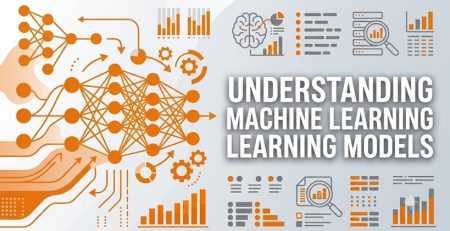 Understanding Machine Learning Models